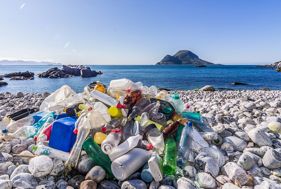 plastic litter on a shore