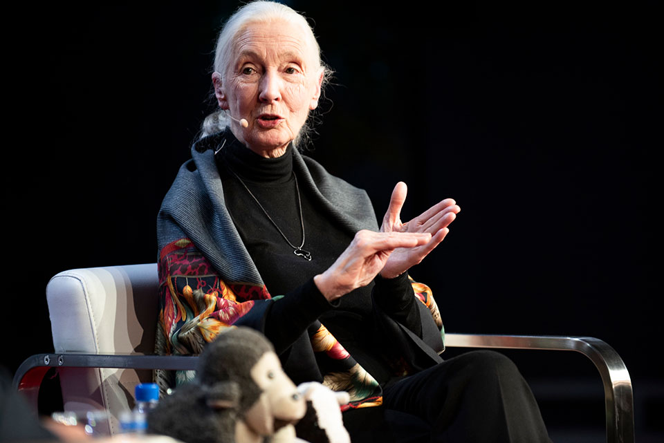 Jane Goodall, speaking