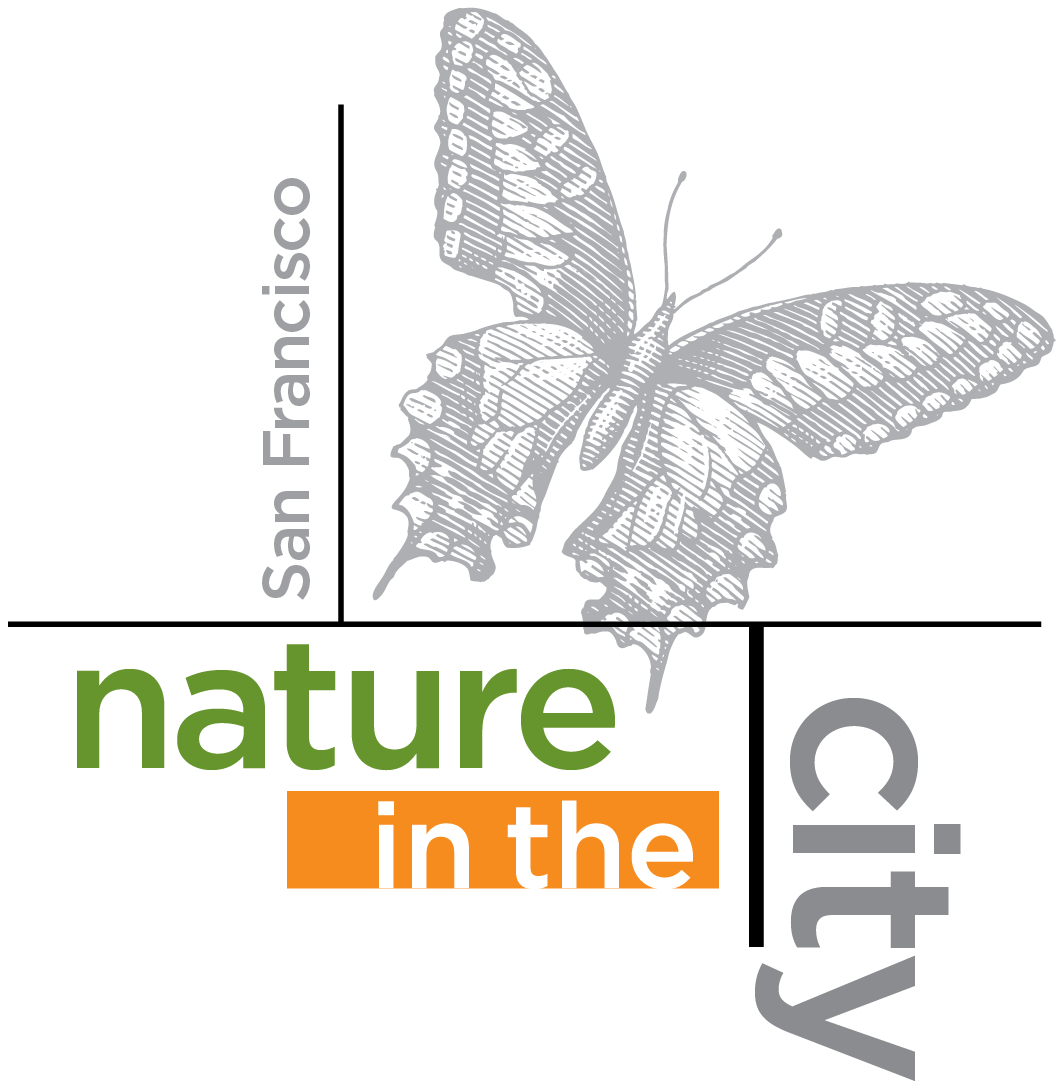 butterfly graphic, words: Nature in the City