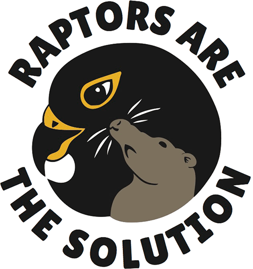 stylized graphic of a rat and a raptor